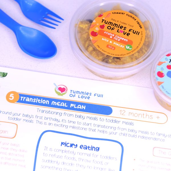 Transitioning MEal plan